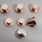ISO9001 Approved High Quality Fine Silver Electrical Contacts / Copper Rivet Fixed
